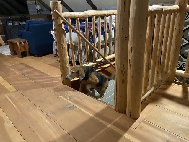 Old man comin to hang