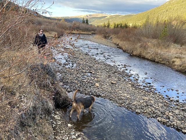 Stuck boy isn't sure if he wants to keep going