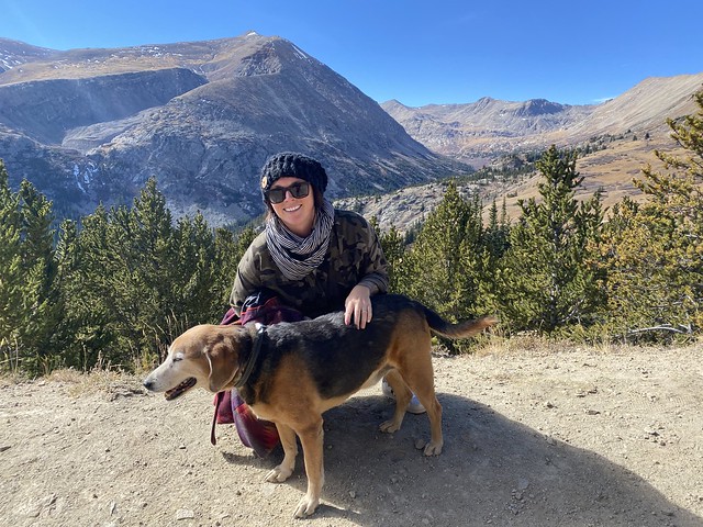 15-year-alma-anniversary-39746