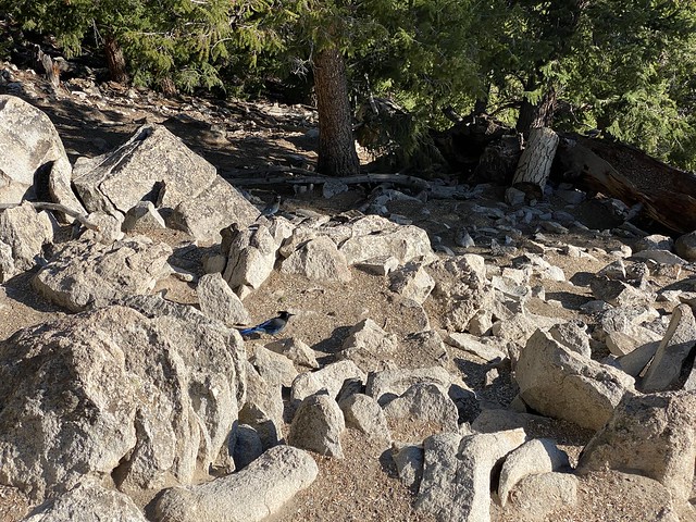 15-year-alma-anniversary-39811