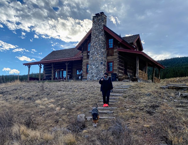 Checkin out the front yard