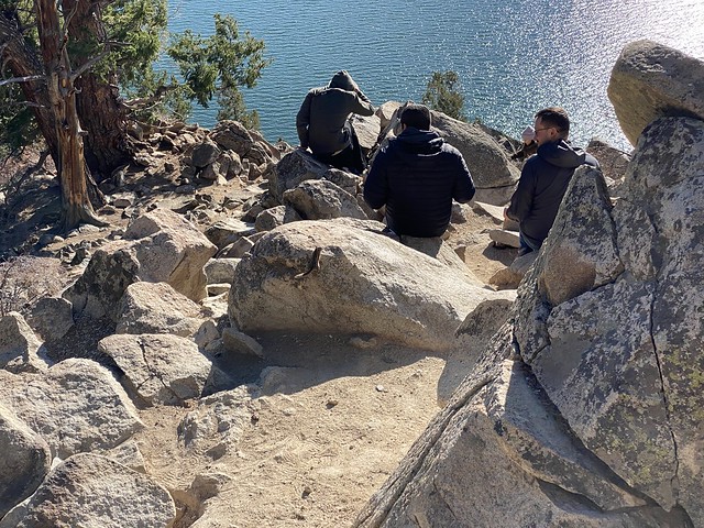 Ground squirrels everywhere