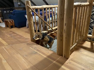 Old man comin to hang