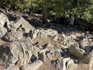 15-year-alma-anniversary-39811