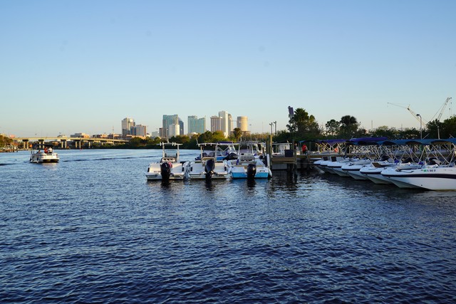 Look at Tampa