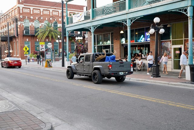 That is not a small moose head