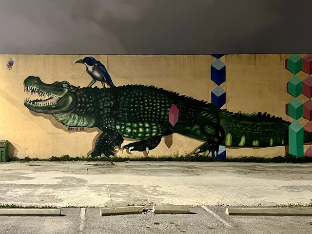 Look at this gator