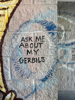 Art - Ask me about my gerbils