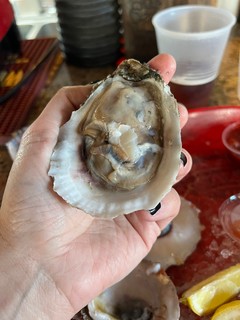 This is not a small oyster