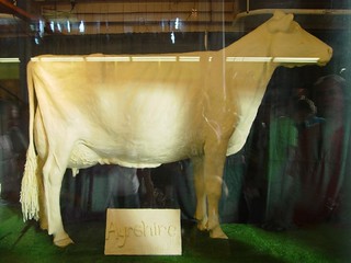 Art - Butter Cow