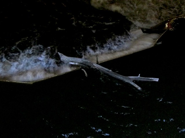 That log is gonna be stuck forever