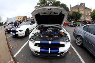 GT 500s