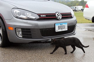 2011 VW GTI - No! No! No!