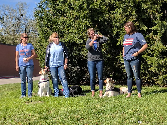 Service dogs curious about the drone