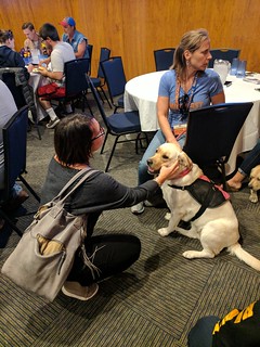 Meetin some therapy dogs at lunch