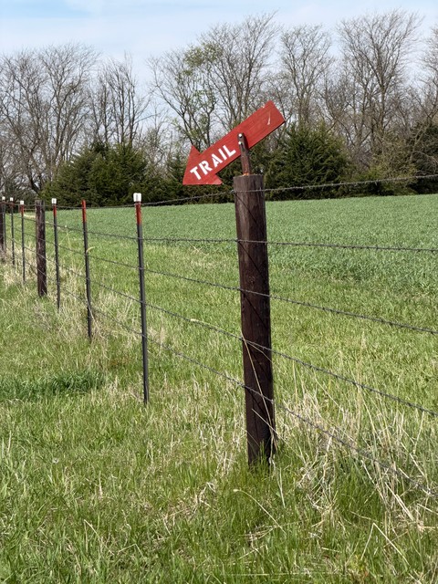 Trail