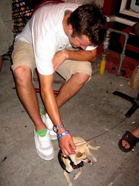 Henson and a Chihuahua