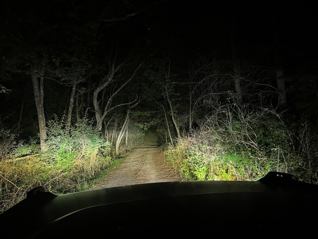 Apparently there's a campsite down here