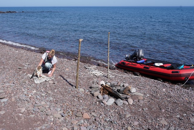 This lady saved this hawk that was struggling in the lake