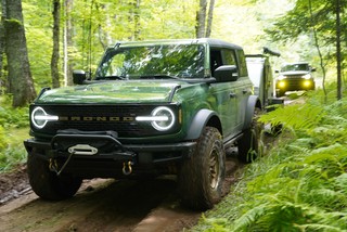 Out here in these forests