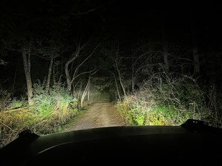 Apparently there's a campsite down here