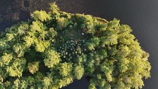 Scopin out the campsite on the Perch Lake Island