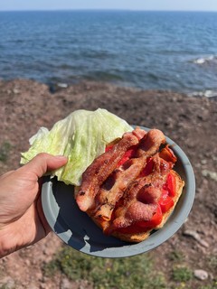 Garden tomato BLTs
