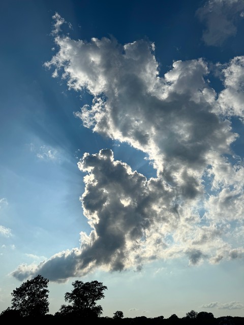 A tiny bit of relief from the heat