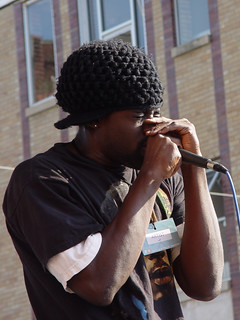 Asphate Woodhavet - Maxilla Blue - Asphate (Brandon J)