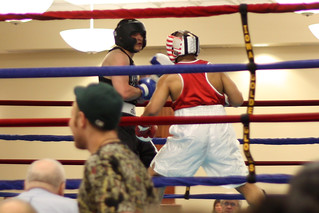 Golden Gloves Boxing