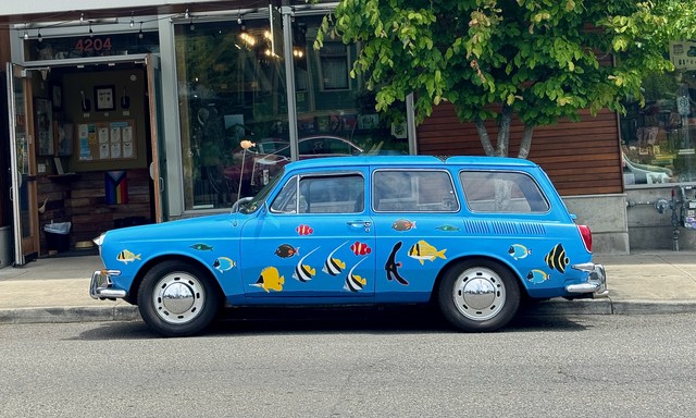 Look at this little acquarium car