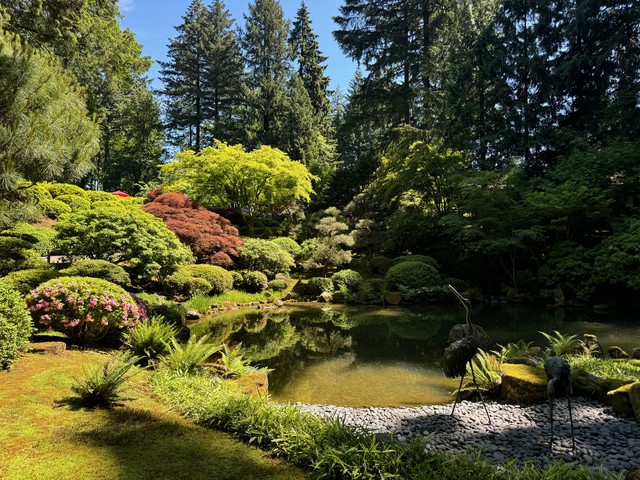Portland Japanese gardens