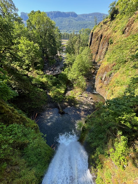 Looking out from the bridge at Multnomah Falls