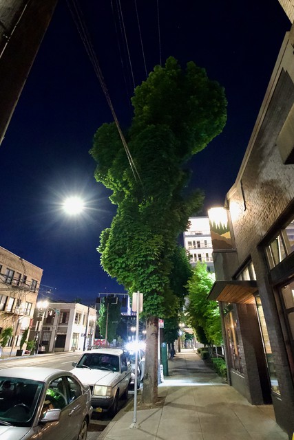 Marge Simpson over here