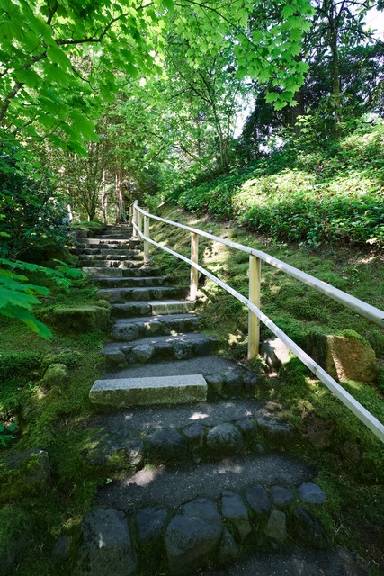 Hiking around the Japenese gardens