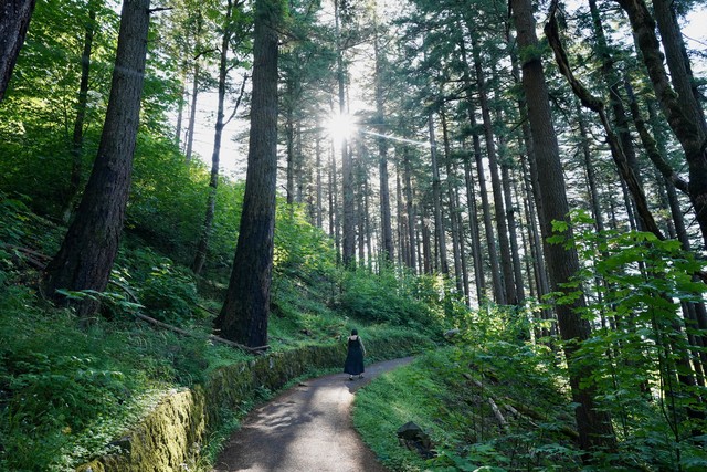 Hiking up to Wahkeena Falls