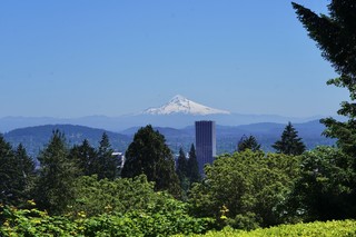 Mt Hood from the Japanese gardens