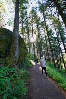 Heading toward Wahkeena Falls