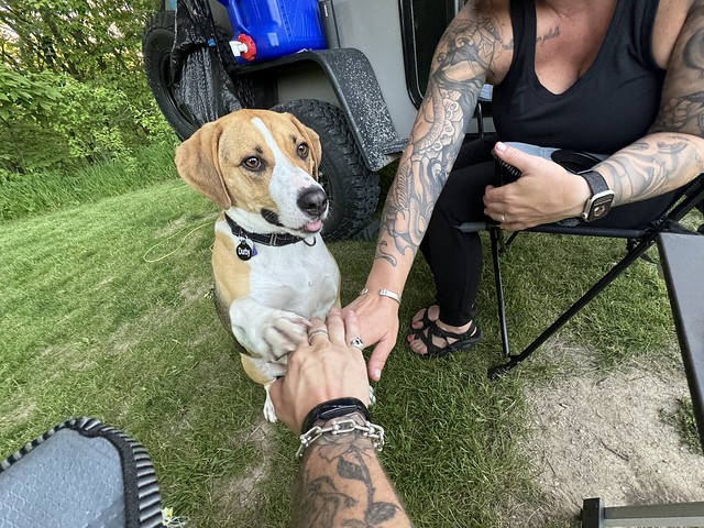 Derpy boy learns new tricks