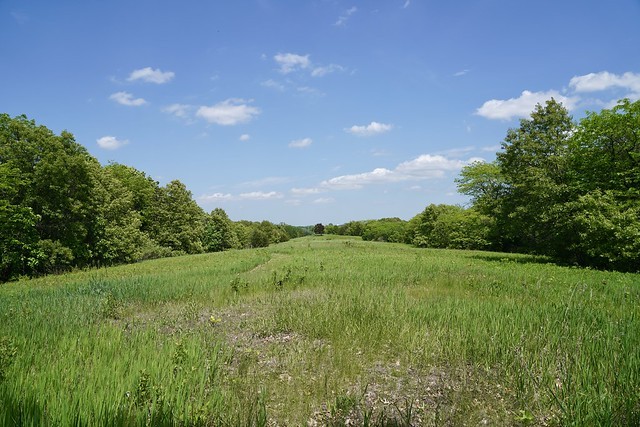 Clearing with Indian mounds