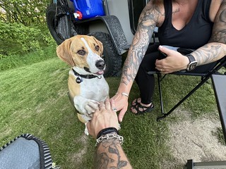 Derpy boy learns new tricks