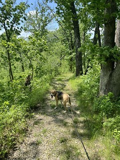 Goin for a little hike