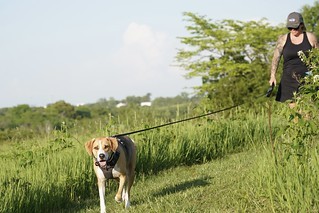 Hikin around the Indian mounds