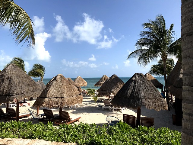 Looking out at the beach