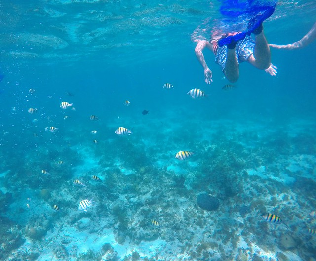 Swimmin with the fishes