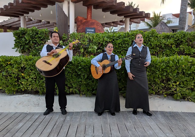 Music at the cocktail hour