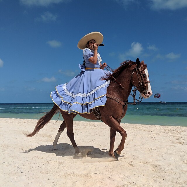 This woman was trotted around our little restaurant singing traditional Mexican music for a while. It was great.