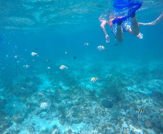 Swimmin with the fishes