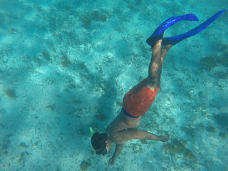 Our leader, diving for starfish