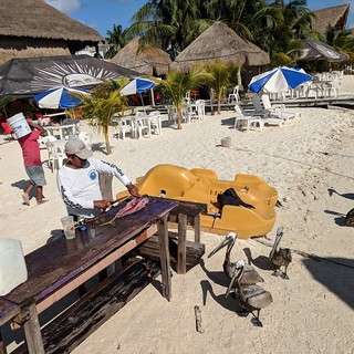 Filleting up some fish